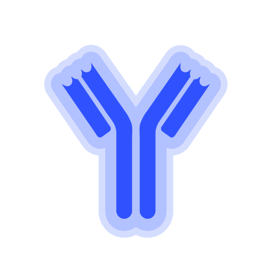 Anti-Human Alpha-Synuclein (C-term) Monoclonal Antibody