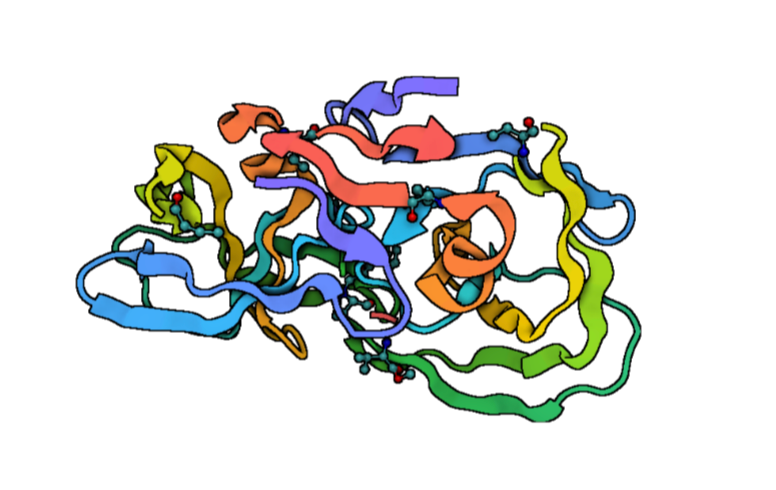 Standard Aβ42, Lyophilized